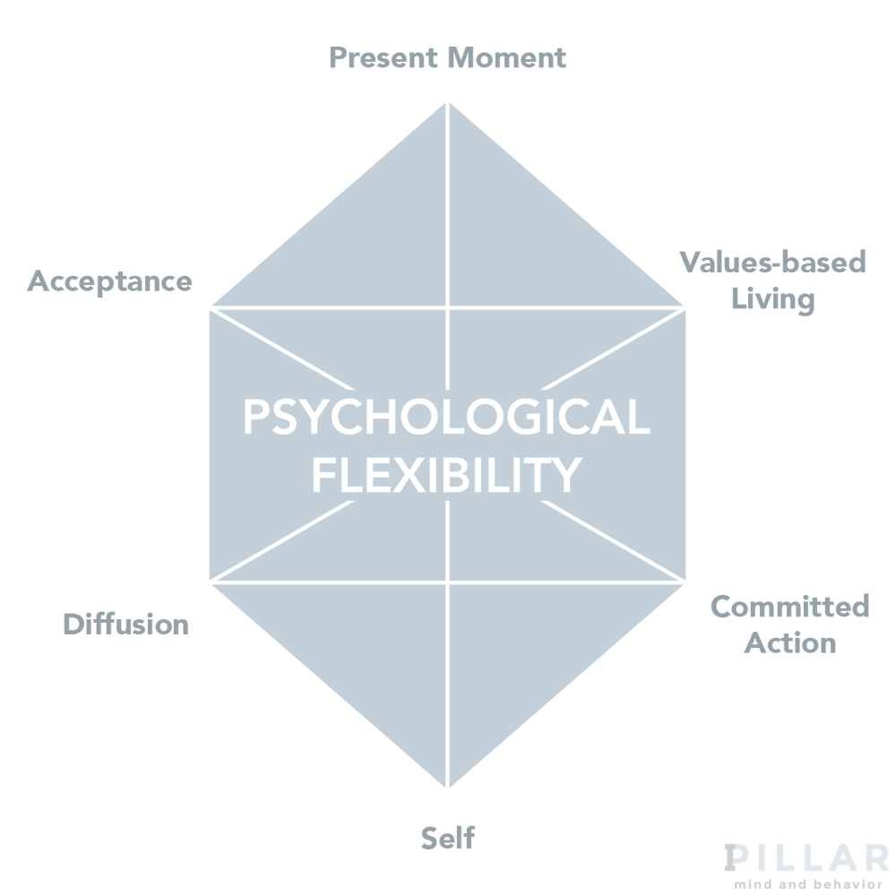 Pillar Mind and Behavior ACT Infograph